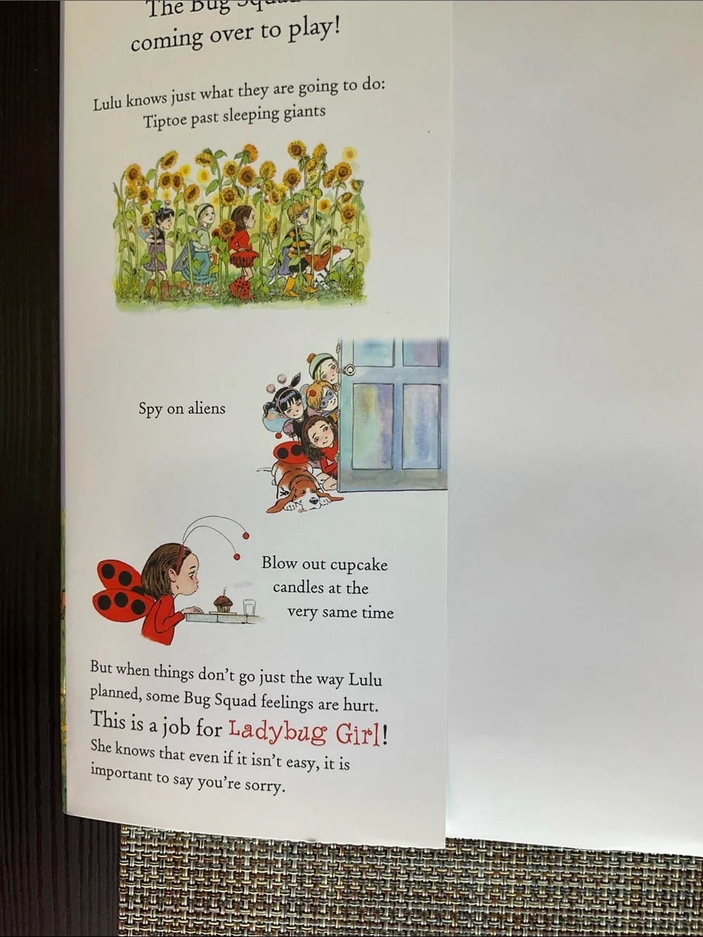 Ladybug Girl and the Bug Squad, Hardcover NWT